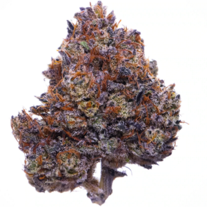 Buy Purple Haze online in New York